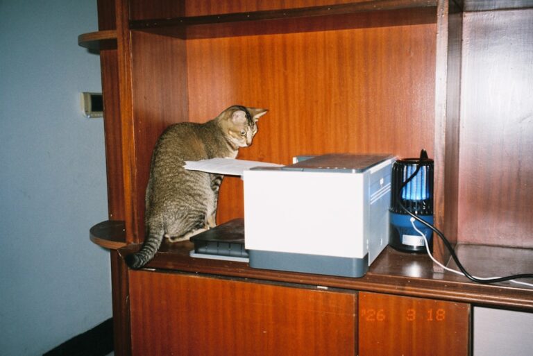 Transform Your Home Office with Essential Workspace Supplies